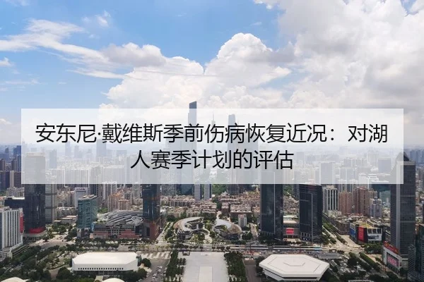 安东尼·戴维斯季前伤病恢复近况：对湖人赛季计划的评估